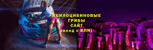 индика Заволжье