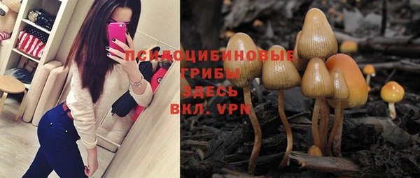 Альфа ПВП Балахна