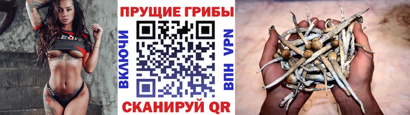 Галлюциногенные грибы мухоморы где купить наркотик Буинск